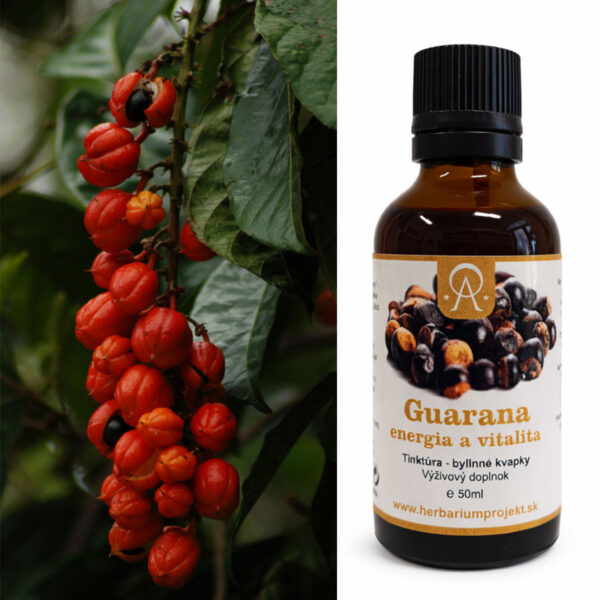 Guarana - energia a vitalita, tinktúra, 50ml