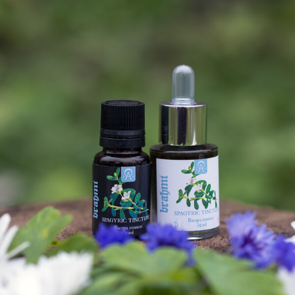 BRAHMI (Bacopa monnieri), spagyric tincture