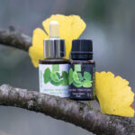 ginko ginkgo spagyrika