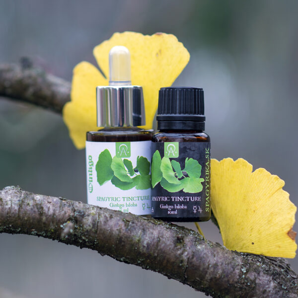 ginko ginkgo spagyrika